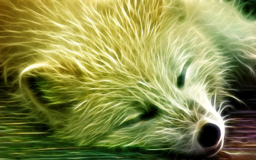 1746675 (a): :1920x1200